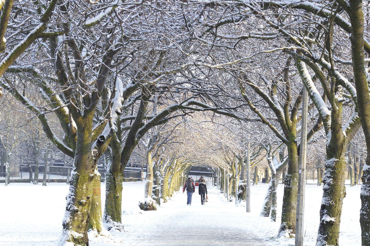 Hình ảnh mùa đông đẹp tuyệt vời tại các địa danh du lịch