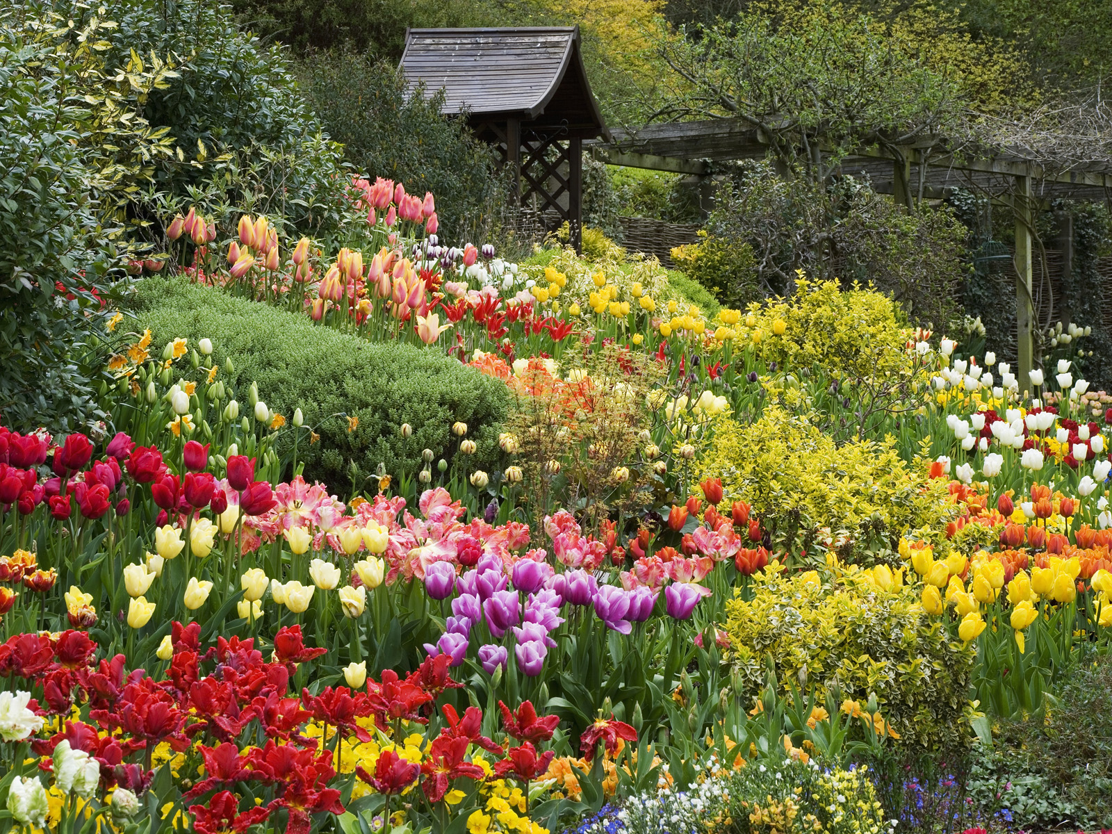 Hãy đến với vườn hoa đẹp tuyệt vời này và trải nghiệm một khoảnh khắc đầy màu sắc, đầy hoa hương. Những hàng cây và bụi hoa xanh tươi, đủ mọi màu sắc của cầu vồng sẽ chắc chắn khiến bạn mê mẩn. Ảnh về vườn hoa này sẽ khiến bạn mong muốn được đến thăm ngay.