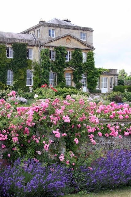 hình ảnh nhà đẹp với tường rào hoa hồng lãng mạn