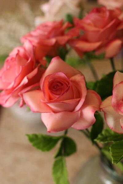 hình hoa hồng đẹp lãng mạn