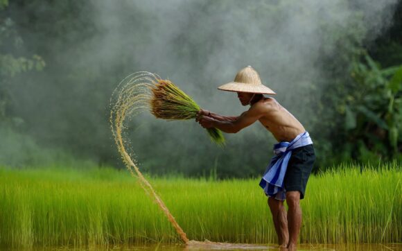 Những hình ảnh đẹp về quê hương, đất nước, con người Việt Nam