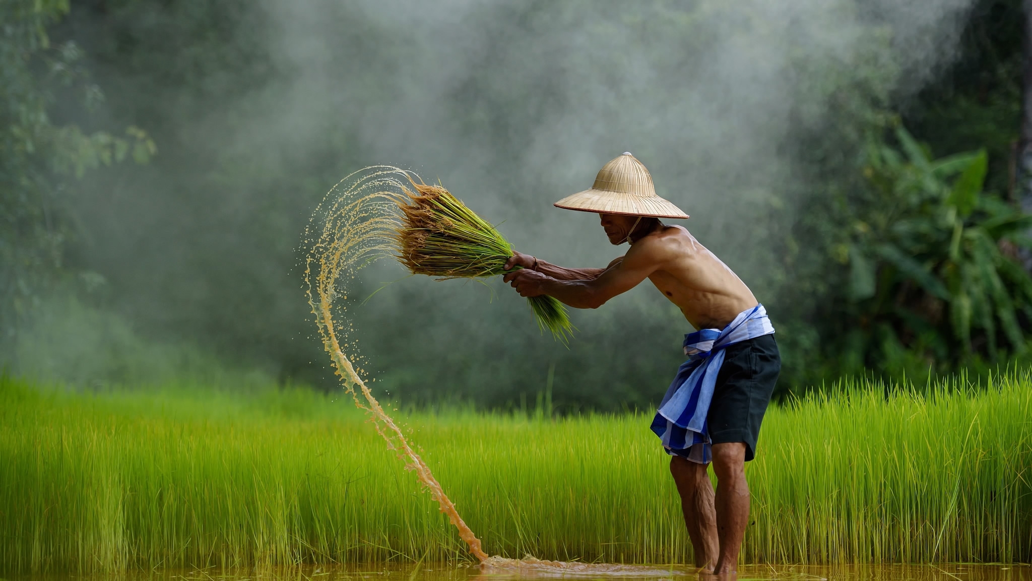 Những hình ảnh quê hương, đất nước, con người Việt Nam đẹp nhất