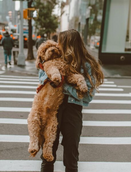 hình ảnh chú chó được cô gái ôm vào lòng