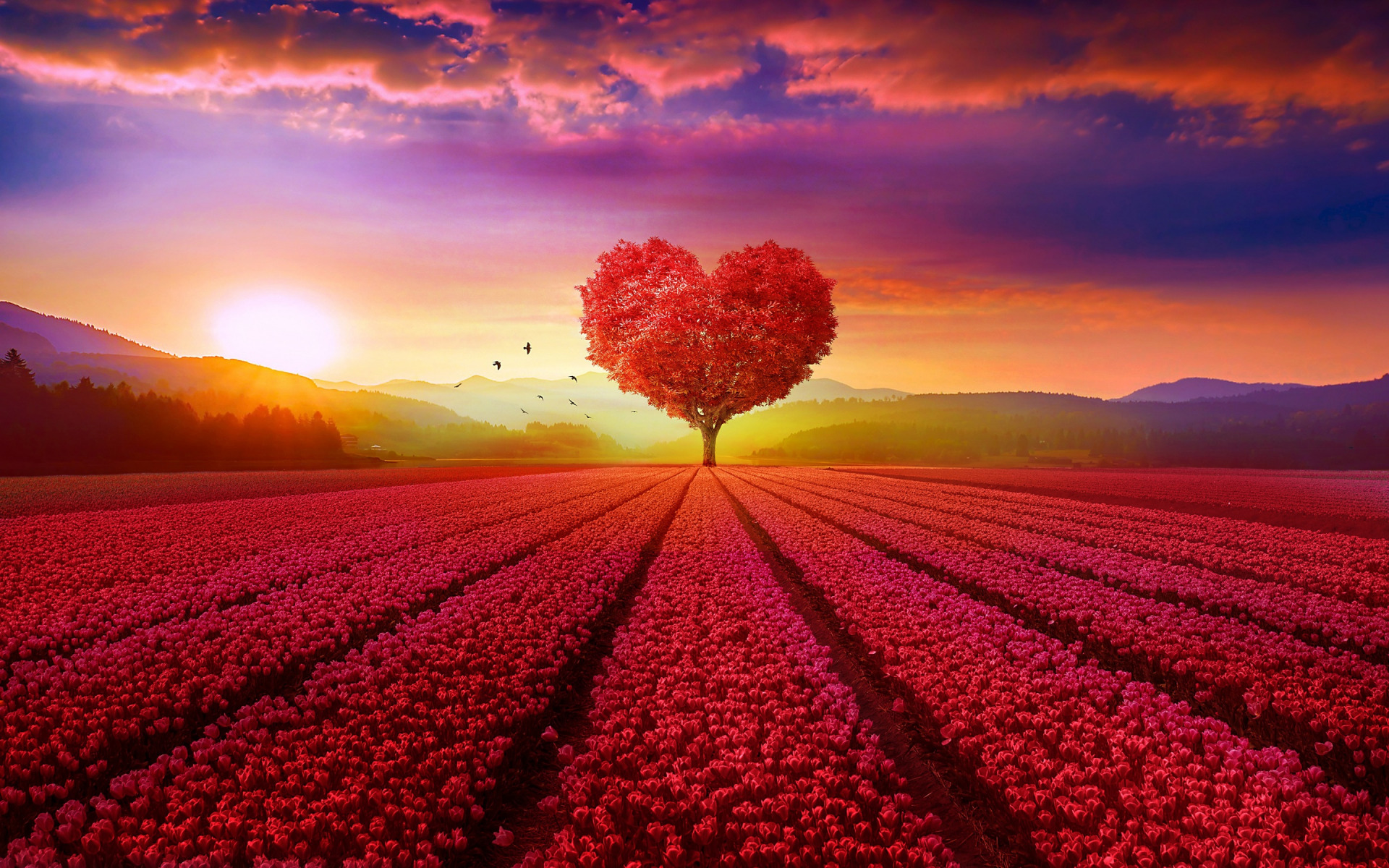 Chào đón hình nền trái tim đỏ mới nhất với hàng ngàn gam màu đẹp nhất. Nó sẽ đưa bạn đến một không gian tràn đầy tình yêu và xúc cảm. Khi nhìn vào hình nền trái tim đỏ mới nhất, bạn sẽ cảm nhận sức mạnh của tình yêu tràn ngập khắp không gian.