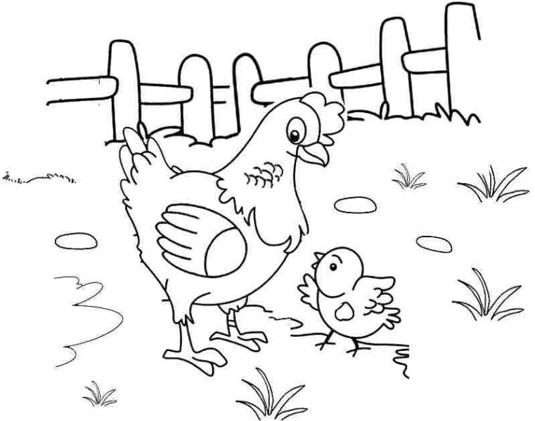 Tranh tô màu cho bé 3 tuổi tập tô hình gà mẹ và gà con