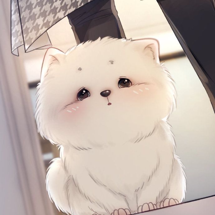 100+ avatar cute mèo chibi mập với thiết kế đáng yêu