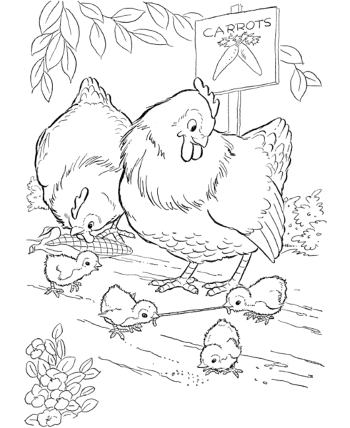 Ảnh tập tô gà mái và gà con