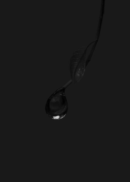 avatar đen hình giọt nước