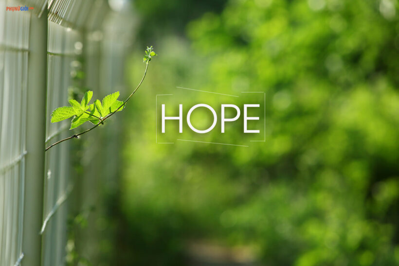 hình ảnh về sự hy vọng | Z photos