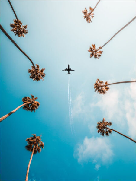 hình ảnh máy bay giữa hàng cây