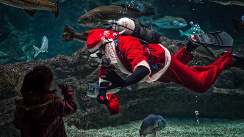 hình ảnh ông già Noel bơi dưới đáy đại dương