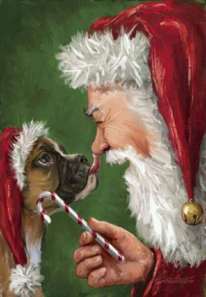 hình ảnh ông già Noel và con chó