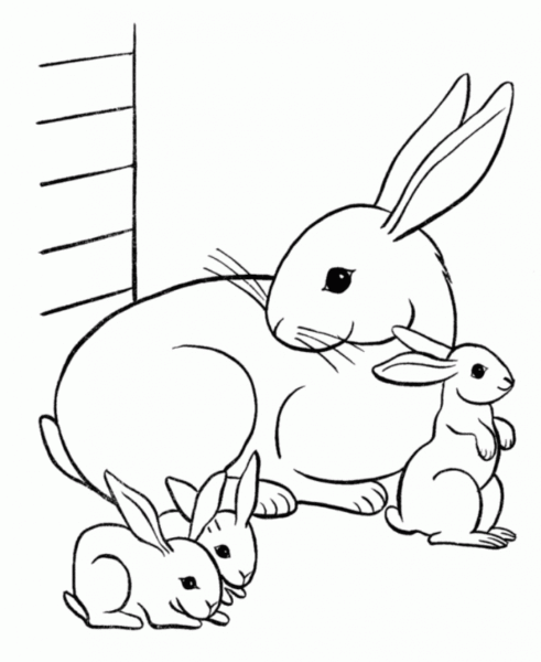 Hình ảnh thỏ mẹ và những chú thỏ con cho bé tập tô
