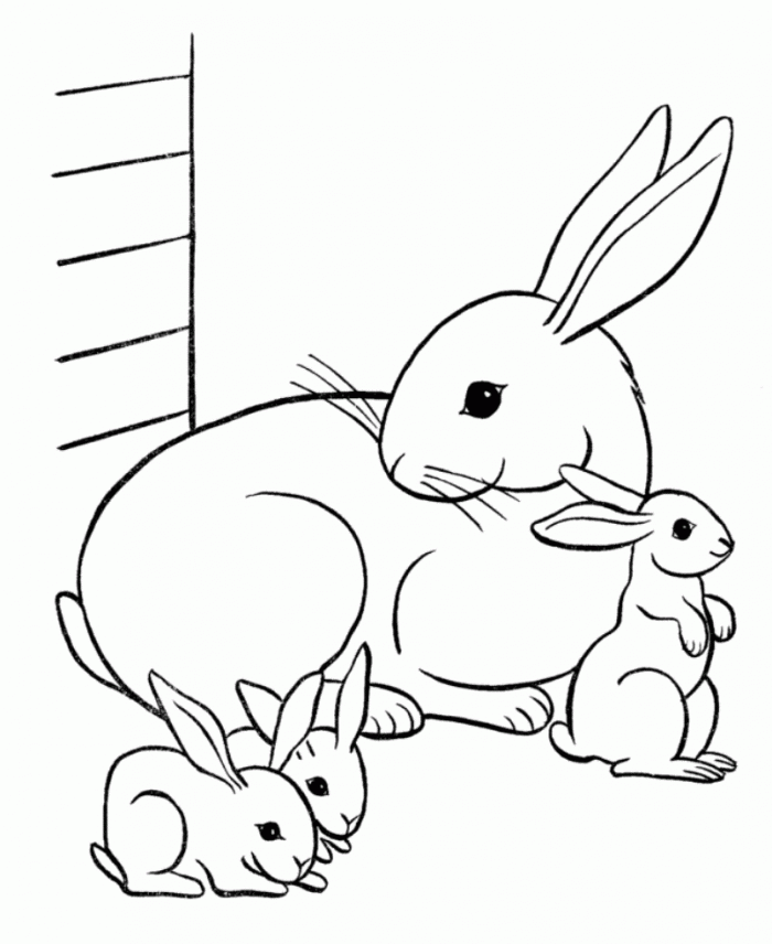 Download bộ tranh tô màu chủ đề con thỏ dễ thương