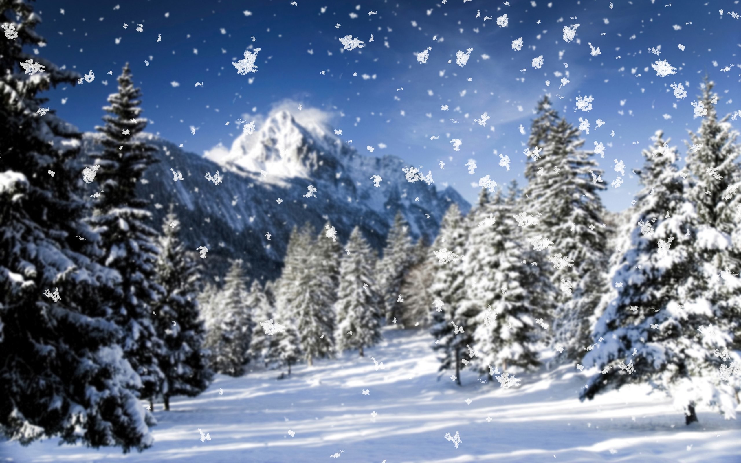 Hình nền Giáng Sinh Cảnh đẹp Tuyết Bông Tuyết Mùa Tím Ảnh Nền Giáng Sinh  Cảnh Tuyết Rơi Bông Tuyết Background Vector để tải xuống miễn phí  Pngtree