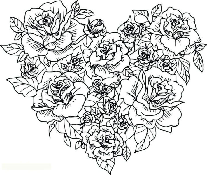 Hình vẽ tô màu hoa hồng đẹp