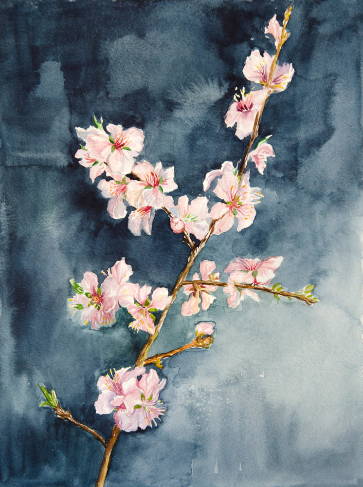 Vẽ tranh về đề tài mùa xuân đơn giản, đẹp và tươi vui nhất