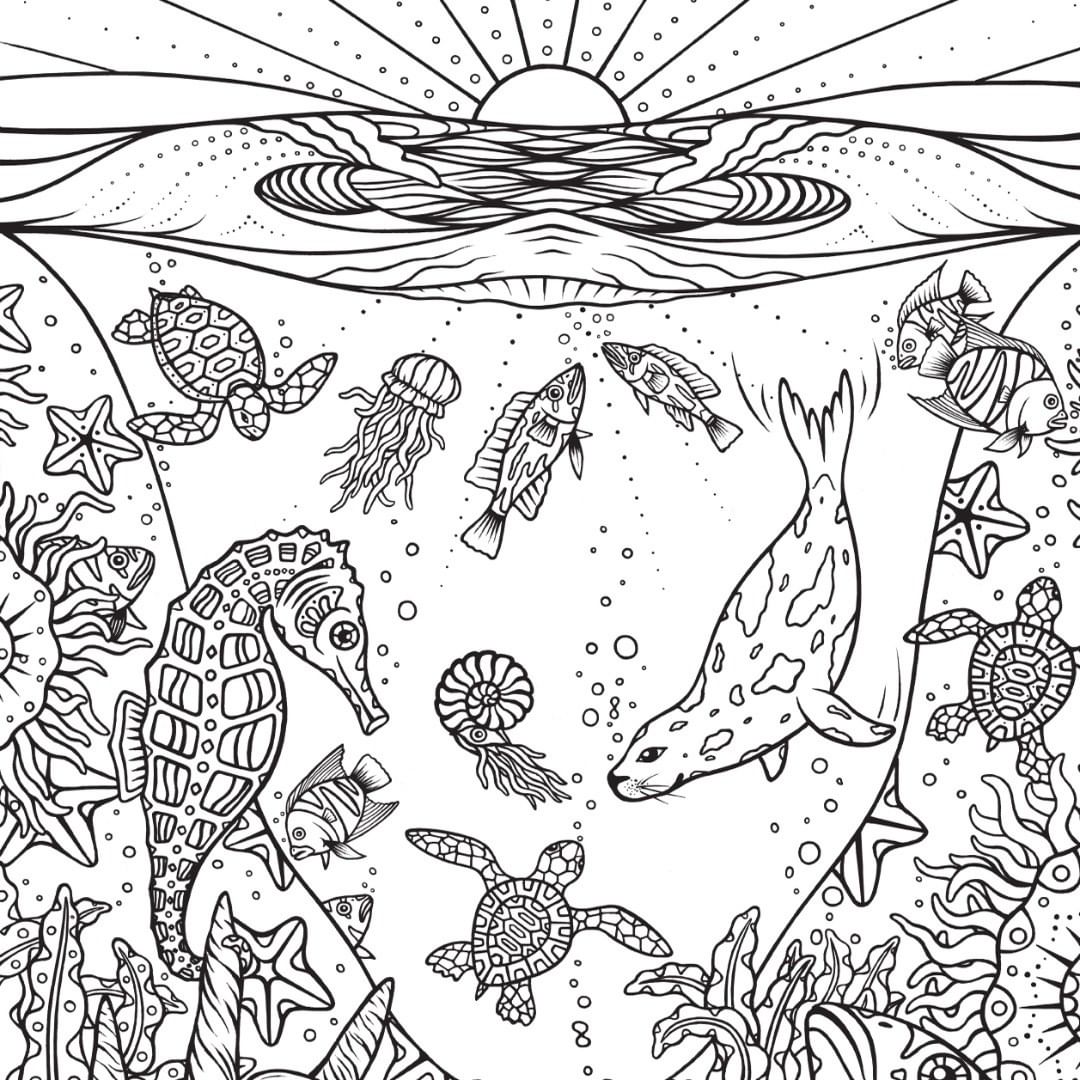 Xếp hình Tia Sáng Đại dương muôn màu 30 Mảnh Ghép  Tặng kèm tranh tô màu  cho bé