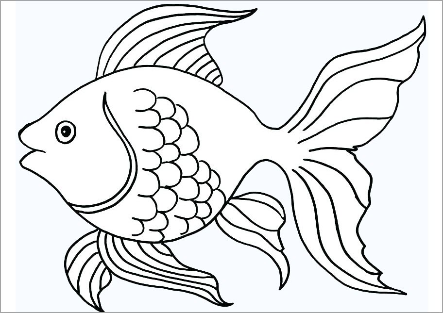 Chi tiết với hơn 55 về tranh tô màu con cá chép hay nhất  trieuson5