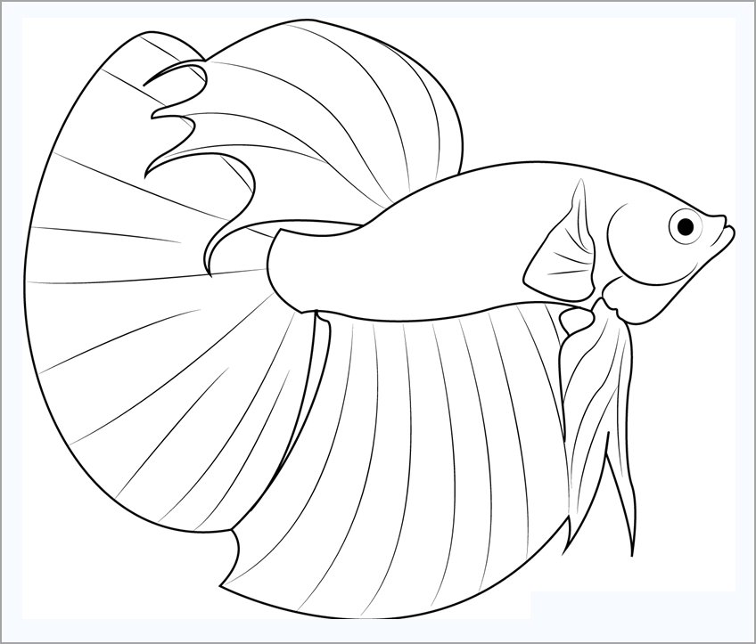 Cập nhật hơn 55 về hình ảnh vẽ cá - cdgdbentre.edu.vn
