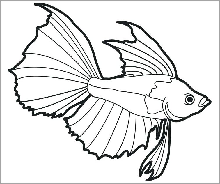 Hình vẽ cá Chép đơn giản mà đẹp sinh động bằng màu nước chì