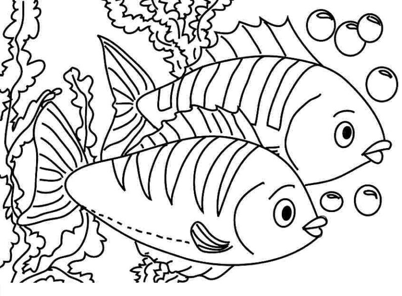 Tranh tô màu con cá hình hai chú cá giống nhau