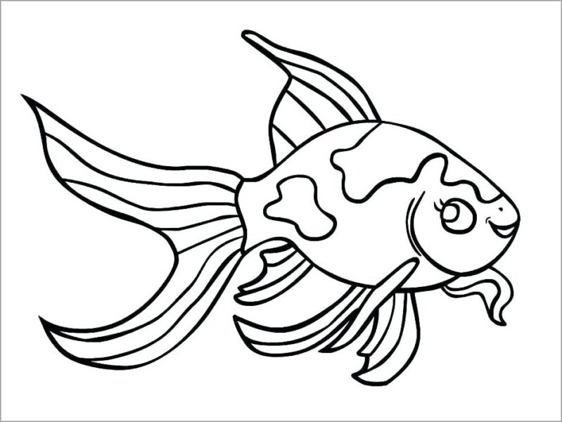 Xem hơn 100 ảnh về hình vẽ con cá đơn giản  daotaonec