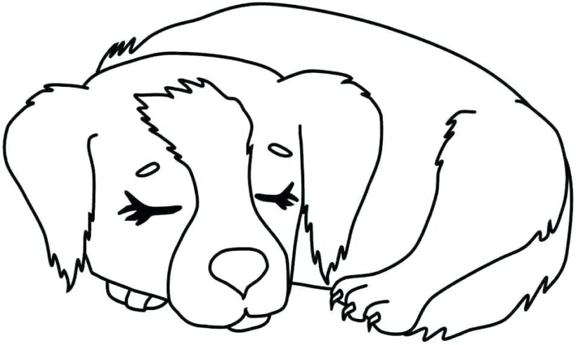 Bé Tập Vẽ và tô màu con chó dễ thương