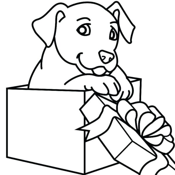 Tranh tô màu con chó ngồi trong hộp quà