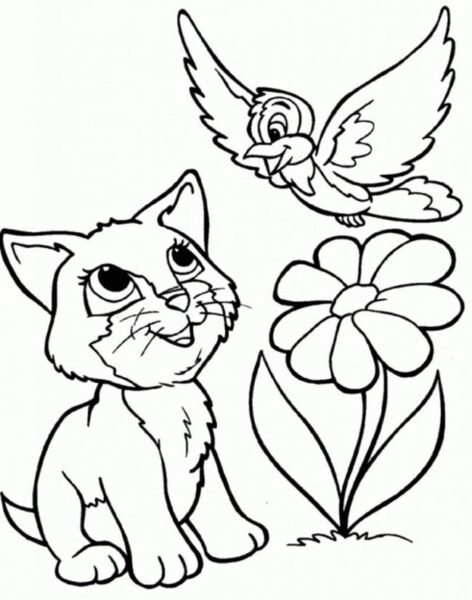 Tranh tô màu con mèo, hoa, chim cho bé tập tô