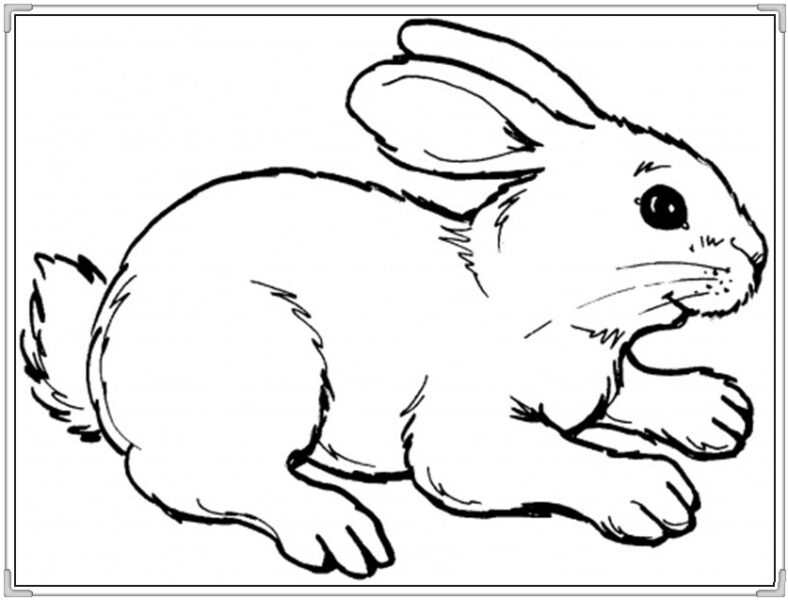 tranh tô màu con thỏ đáng yêu nhất