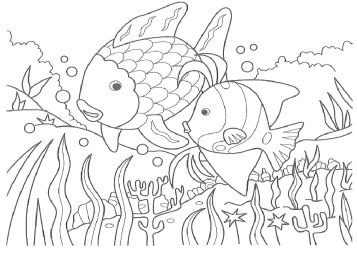 Tranh tô màu con vật hình hai loại cá đang bơi
