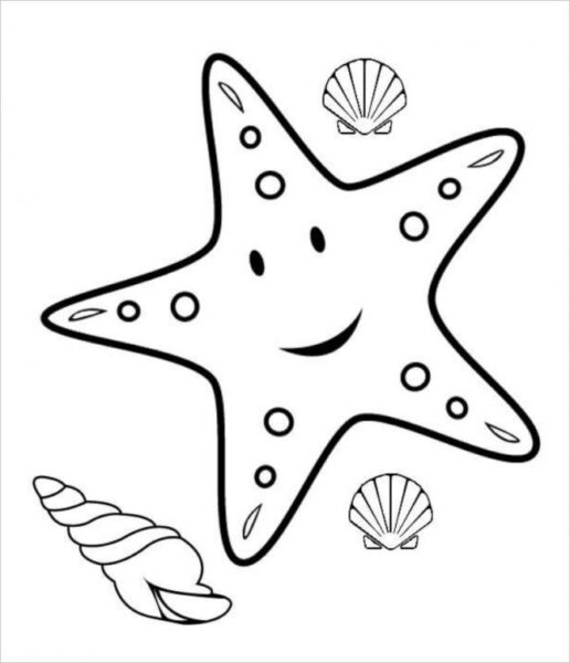 Tranh tô màu con vật hình sao, ốc hến biển