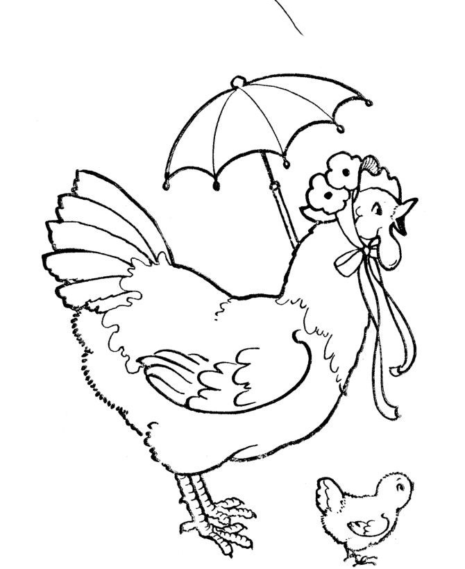 Xem hơn 100 ảnh về hình vẽ con gà mái  daotaonec
