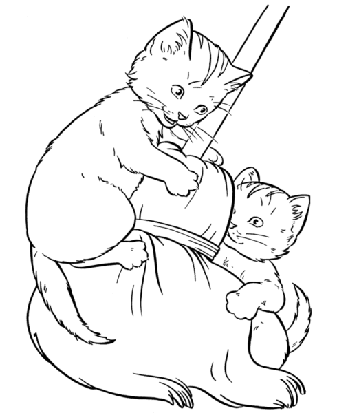 Tranh tô màu hai chú mèo đang nghịch chiếc chổi