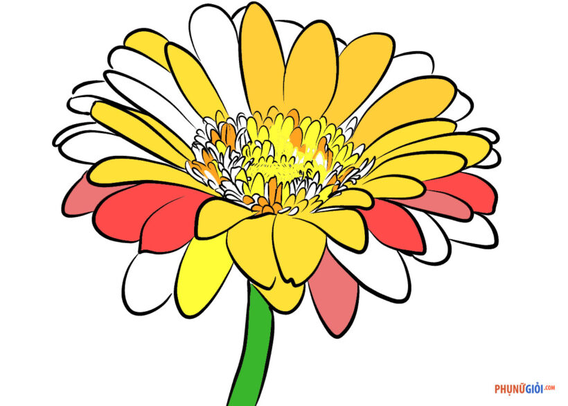 Tổng hợp tranh tô màu hoa 5 cánh đẹp nhất dễ tải dễ in Update 2022  Văn Hóa  Học
