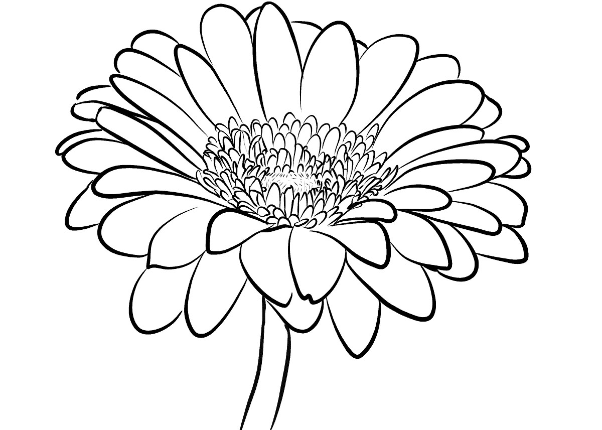 55 Tranh tô màu bông hoa đơn giản và đẹp nhất dành cho bé gái