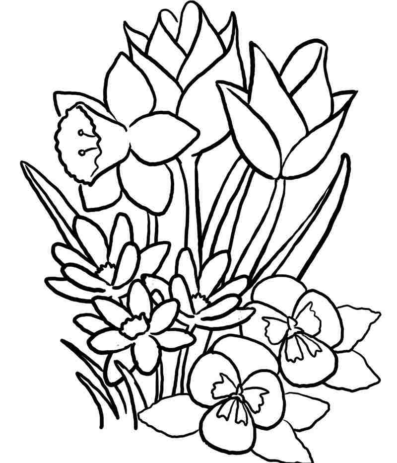 Chi tiết với hơn 54 về tô màu vẽ giỏ hoa hay nhất  trieuson5
