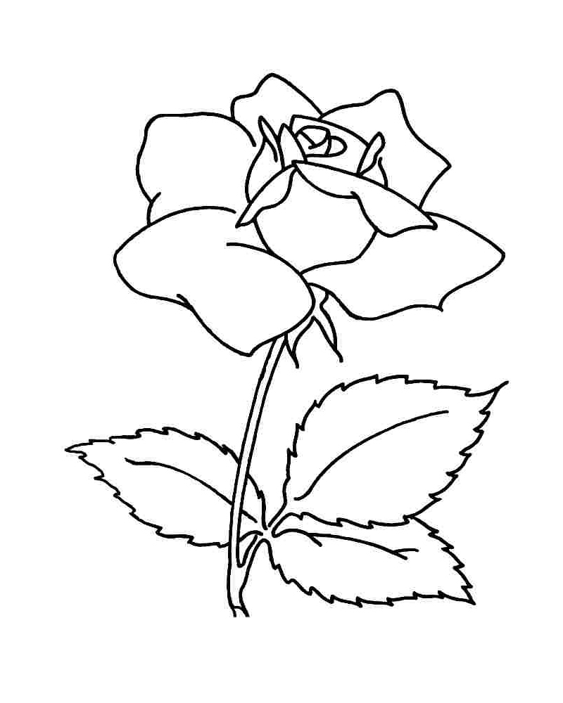 Рисунок цветы для мамы раскраска