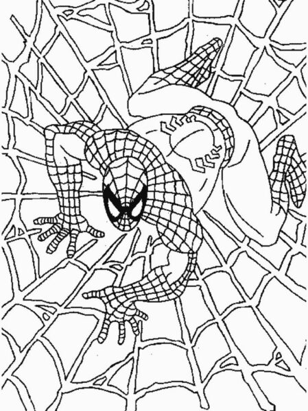 tranh tô màu người nhện