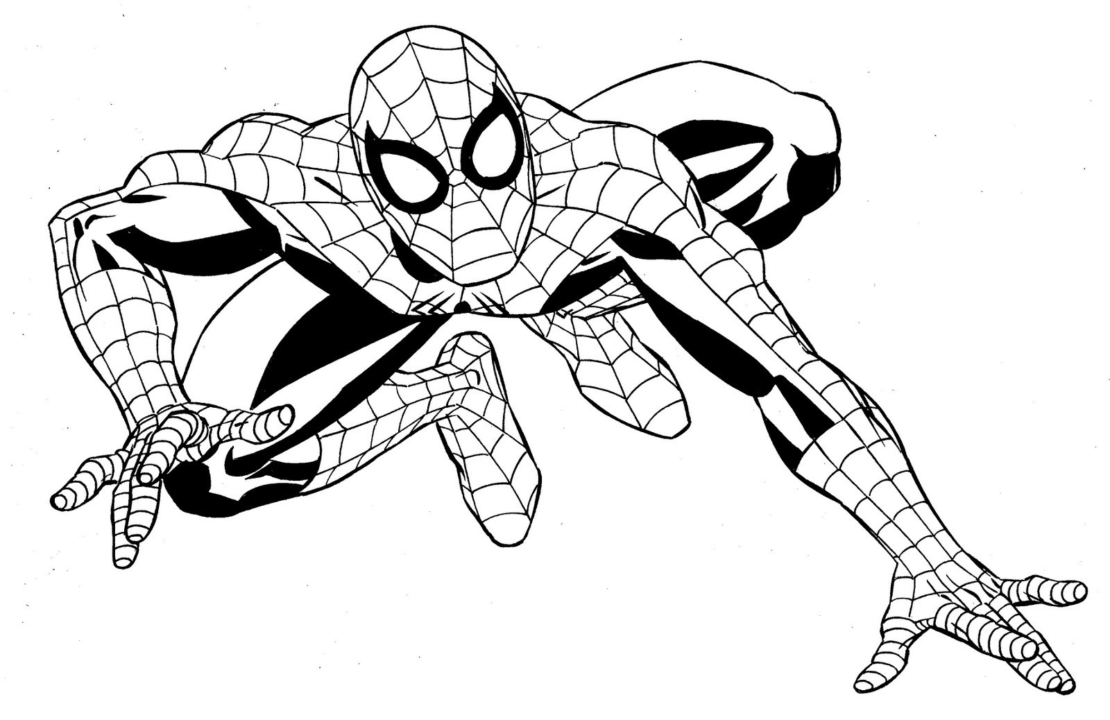 Tranh tô màu siêu nhân cuồng phong superman người nhện