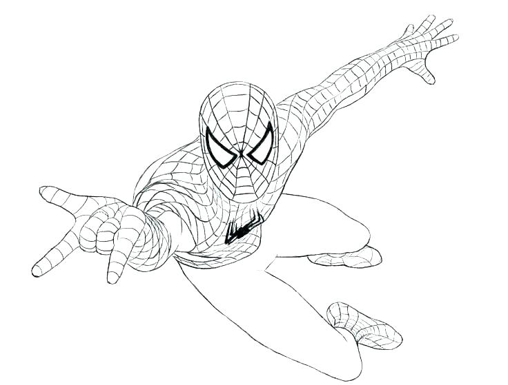 Tranh Tô Màu Người Nhện  Siêu Anh Hùng Spider Man  TH Điện Biên Đông