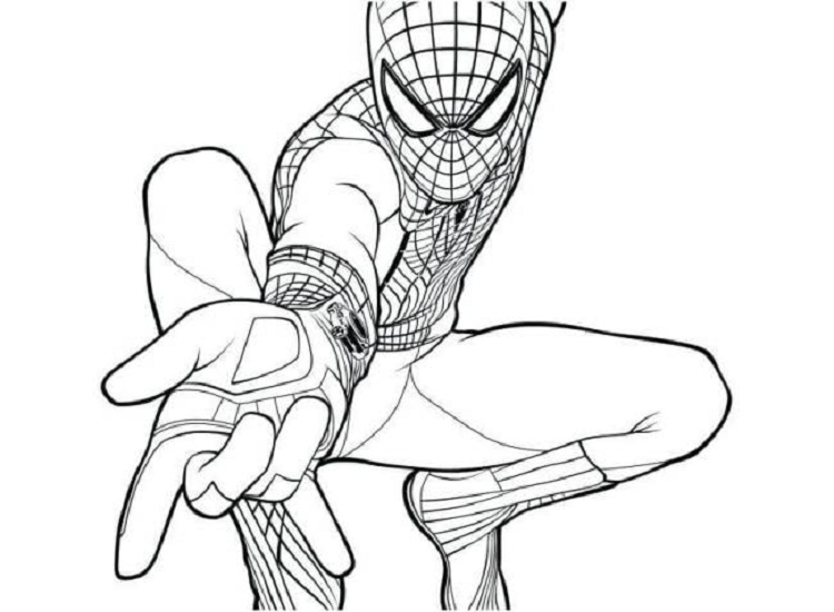 Siêu Nhân Người Nhện  Tô Màu Siêu Nhân Nhện Các Màu Dạy Vẽ Cho  BéColoring spider man  YouTube