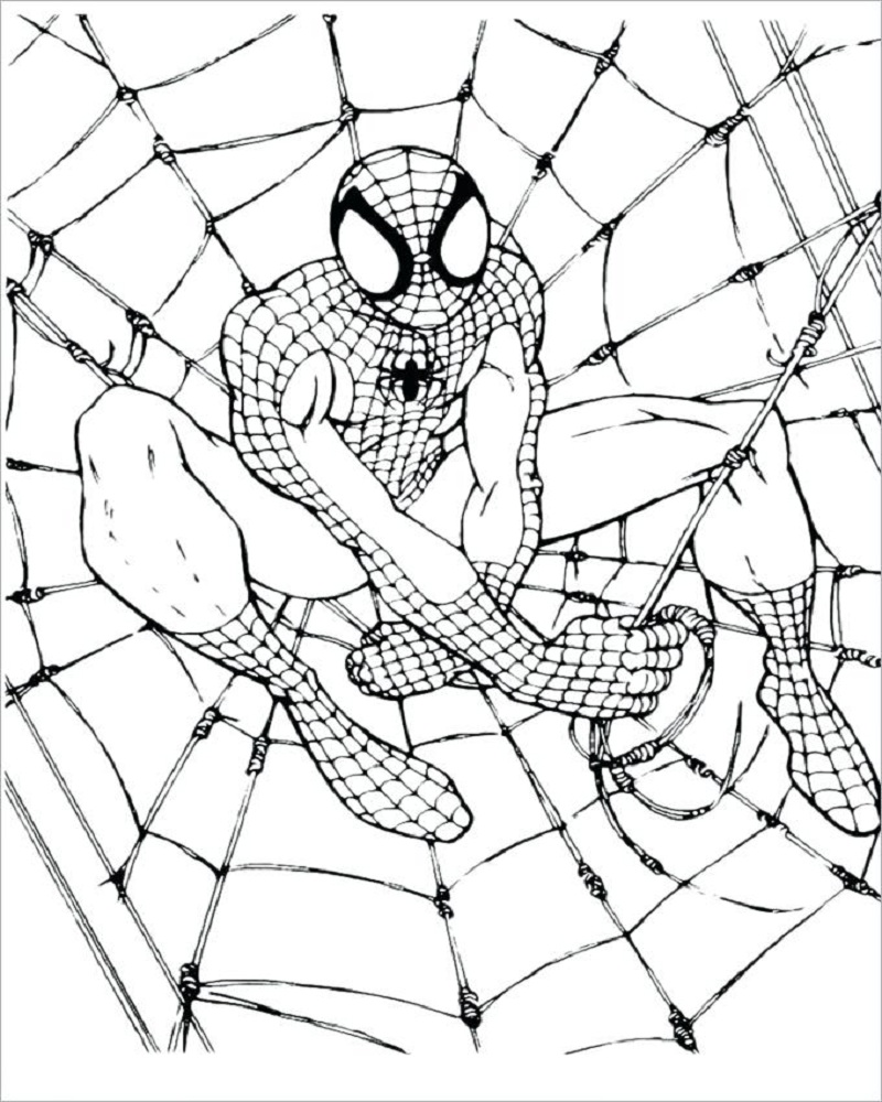 Tranh Tô Màu Người Nhện - Siêu Nhân Spider Man Đẹp Nhất Cho Bé