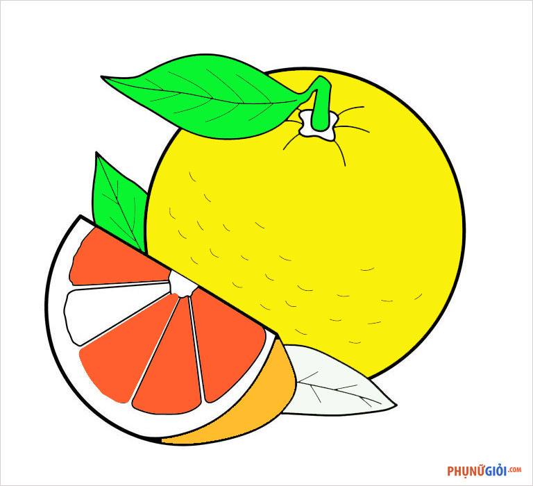 Tranh tô màu quả cam đơn giản, dễ tô cho bé