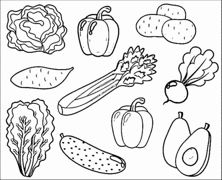 Dạy bé vẽ hình đơn giản - Các loại rau củ quả - hình ảnh 7