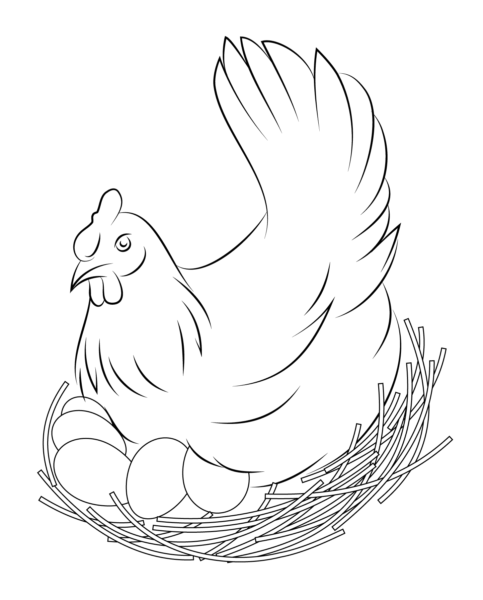 Tranh vẽ đen trắng gà mái đang ấp trứng