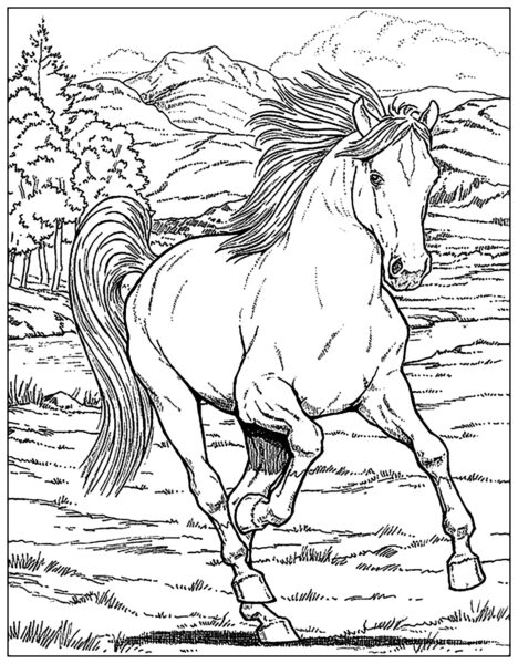 Ảnh vẽ con ngựa cho bé tập tô
