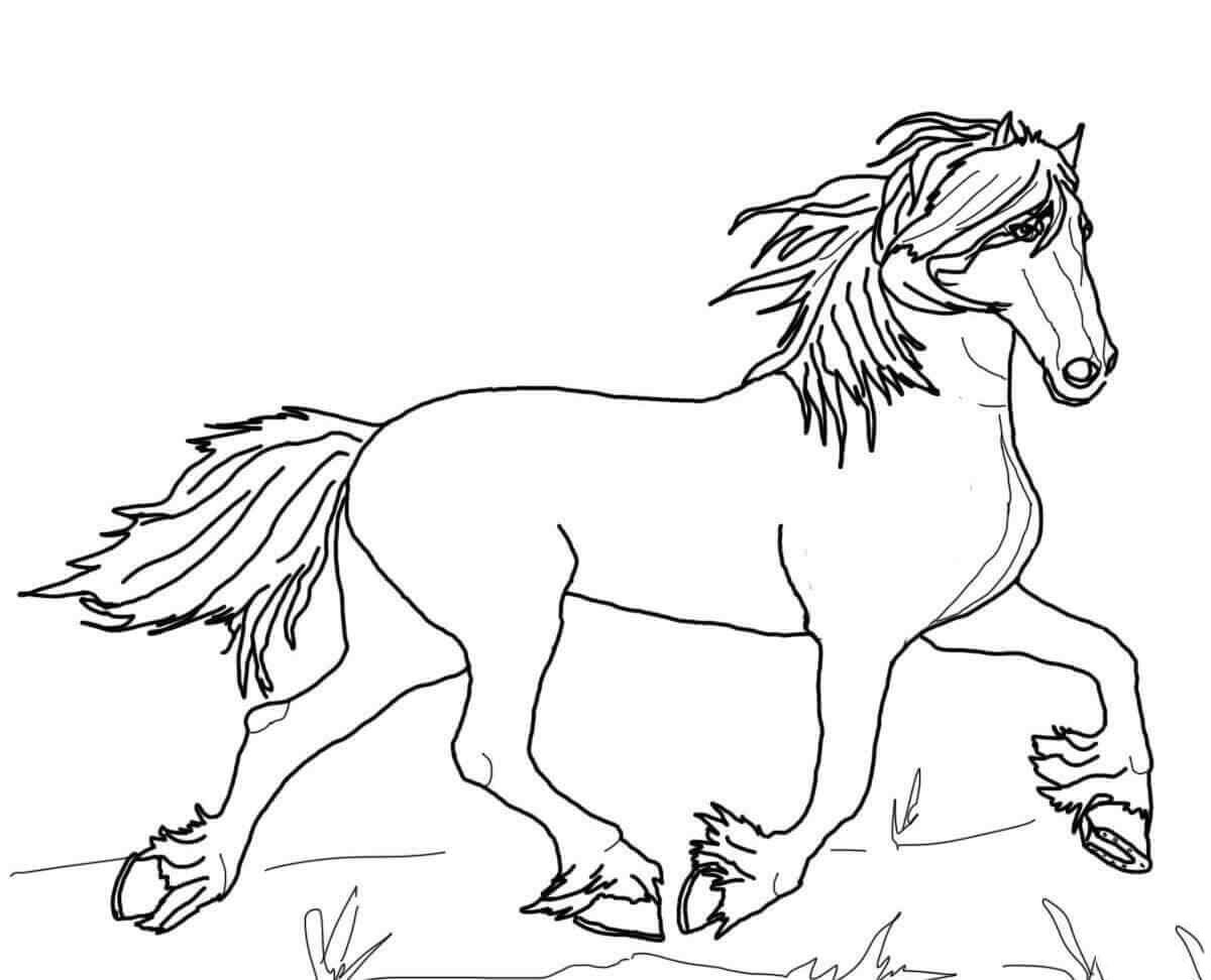 Hình vẽ con ngựa đơn giản cho bé tô màu