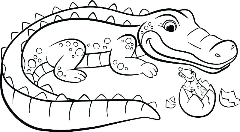 Hình ảnh Vẽ Trang Tô Màu động Vật Cá Sấu Cho Người Lớn Bò Sát Vectơ PNG ,  Vẽ động Vật, Vẽ Cá Sấu, Vẽ Chiếc Nhẫn PNG và Vector với nền